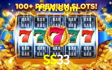 SS33 - Support