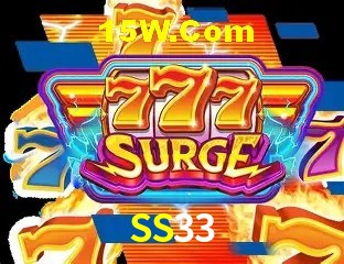 SS33 - Security